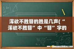 “浑欲不胜簪”中“簪”字的读音 浑欲不胜簪的胜是几声