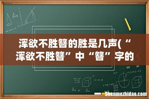 “浑欲不胜簪”中“簪”字的读音 浑欲不胜簪的胜是几声