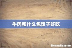 牛肉和什么包饺子好吃