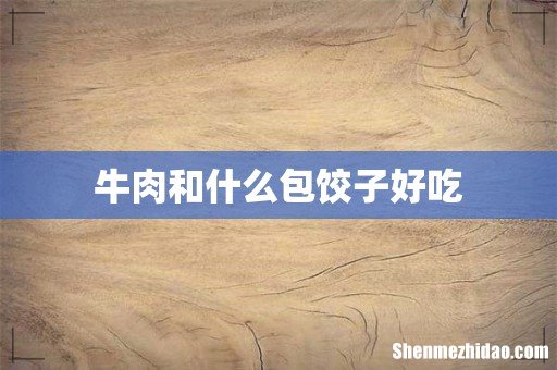 牛肉和什么包饺子好吃