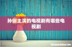 孙俪主演的电视剧有哪些电视剧