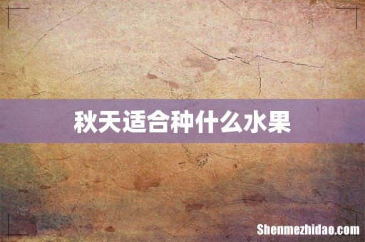 秋天适合种什么水果