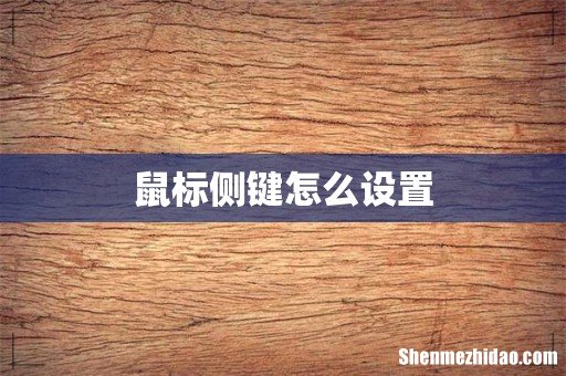 鼠标侧键怎么设置