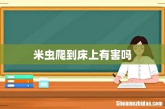 米虫爬到床上有害吗