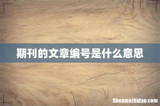 期刊的文章编号是什么意思