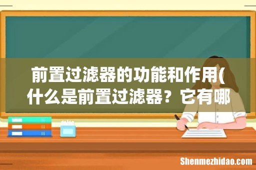 什么是前置过滤器？它有哪些作用？ 前置过滤器的功能和作用