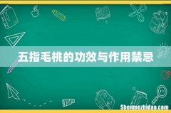 五指毛桃的功效与作用禁忌