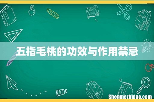 五指毛桃的功效与作用禁忌
