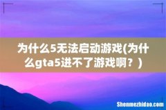 为什么gta5进不了游戏啊？ 为什么5无法启动游戏