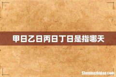 甲日乙日丙日丁日是指哪天
