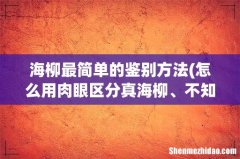 怎么用肉眼区分真海柳、不知道自己的海柳是不是真的有没有简单点的区分方法，我的是一个