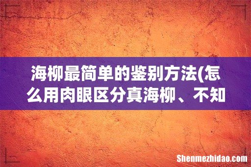 怎么用肉眼区分真海柳、不知道自己的海柳是不是真的有没有简单点的区分方法,我的是一个不算精致的烟嘴 海柳最简单的鉴别方法
