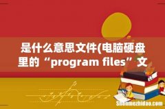 电脑硬盘里的“program files”文件夹是什么意思？ 是什么意思文件