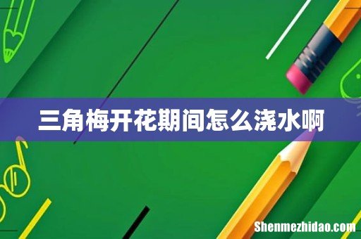 三角梅开花期间怎么浇水啊