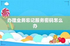 办理业务忘记服务密码怎么办