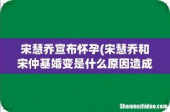 宋慧乔和宋仲基婚变是什么原因造成的？ 宋慧乔宣布怀孕
