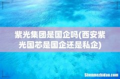 西安紫光国芯是国企还是私企 紫光集团是国企吗