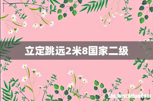 立定跳远2米8国家二级