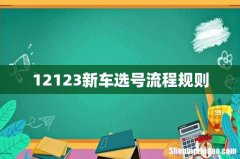 12123新车选号流程规则