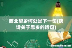 唐诗关于思乡的诗句 西北望乡何处是下一句