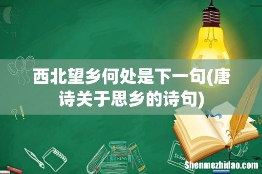 唐诗关于思乡的诗句 西北望乡何处是下一句