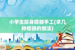 求几种暗器的做法 小学生防身暗器手工