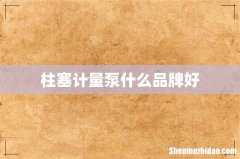 柱塞计量泵什么品牌好