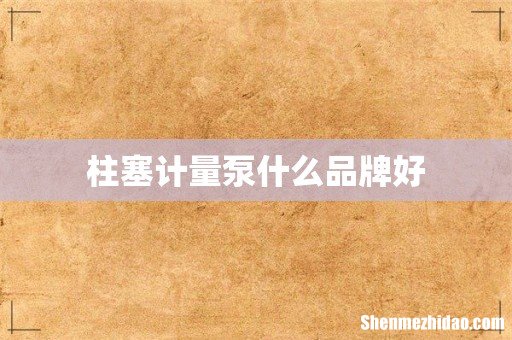 柱塞计量泵什么品牌好