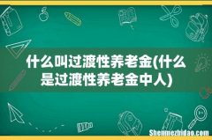 什么是过渡性养老金中人 什么叫过渡性养老金