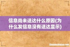 为什么发信息没有送达显示 信息尚未送达什么原因