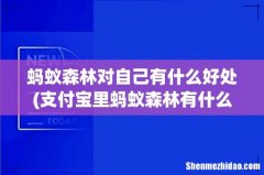 支付宝里蚂蚁森林有什么用？ 蚂蚁森林对自己有什么好处