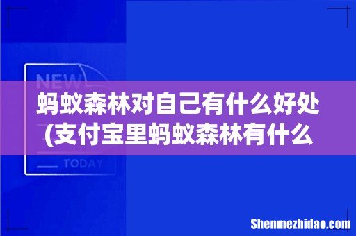 支付宝里蚂蚁森林有什么用? 蚂蚁森林对自己有什么好处
