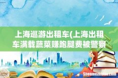 上海出租车满载蔬菜赚跑腿费被警察拦下，这究竟是为何？ 上海巡游出租车
