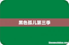 黑色孤儿第三季