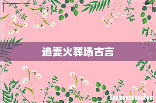 追妻火葬场古言
