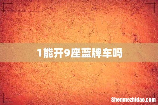 1能开9座蓝牌车吗