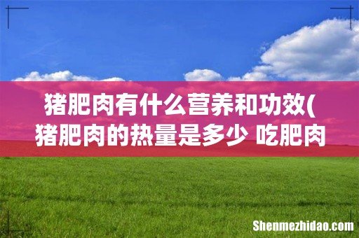 猪肥肉的热量是多少 吃肥肉有什么作用 猪肥肉有什么营养和功效