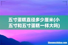 小五寸和五寸蛋糕一样大吗 五寸蛋糕直径多少厘米