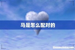 马是怎么配对的