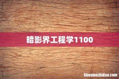 暗影界工程学1100