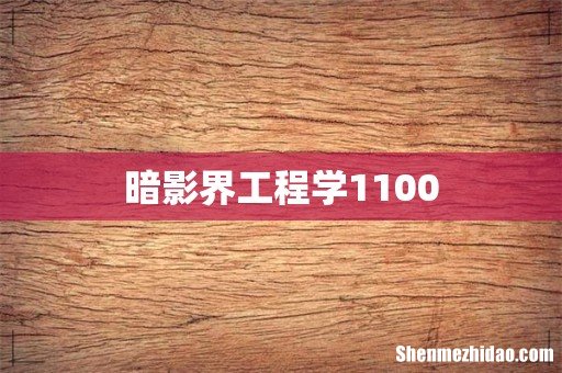 暗影界工程学1100