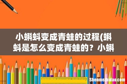 蝌蚪是怎么变成青蛙的?小蝌蚪为什么要找妈妈?小蝌蚪的爸爸去哪了 小蝌蚪变成青蛙的过程