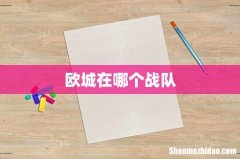 欧城在哪个战队