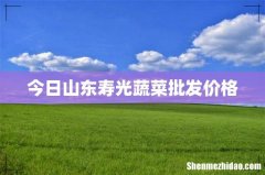 今日山东寿光蔬菜批发价格