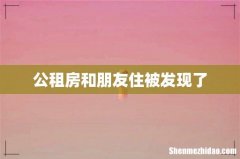公租房和朋友住被发现了