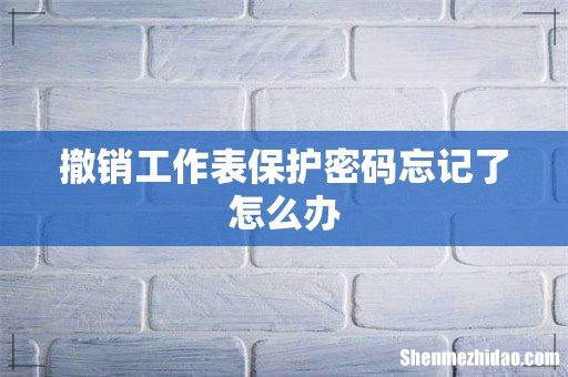 撤销工作表保护密码忘记了怎么办