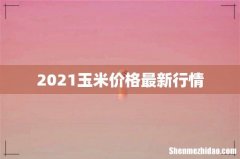2021玉米价格最新行情
