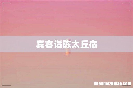 宾客诣陈太丘宿