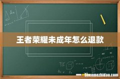 王者荣耀未成年怎么退款