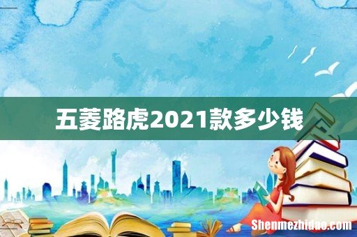 五菱路虎2021款多少钱